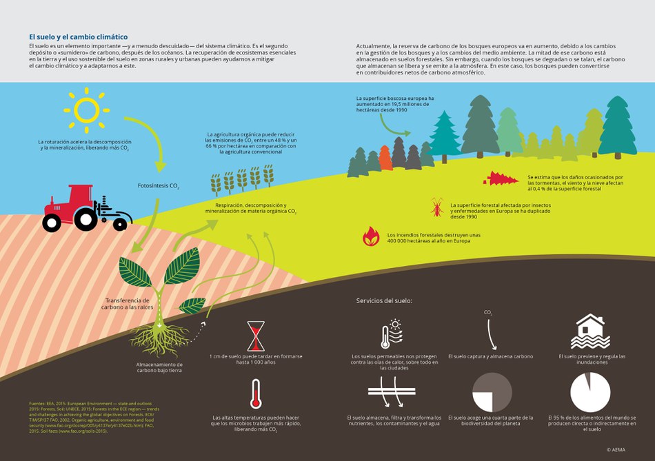 El suelo y el cambio climático